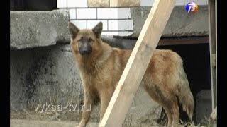 Мы в ответе за всех, кого приручили. Мы в ответе за всех, кого приручили.