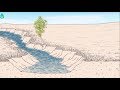 Ancient practices to increase water storage in desert aquifers 💧💦 | Waterpedia #WaterWednesday