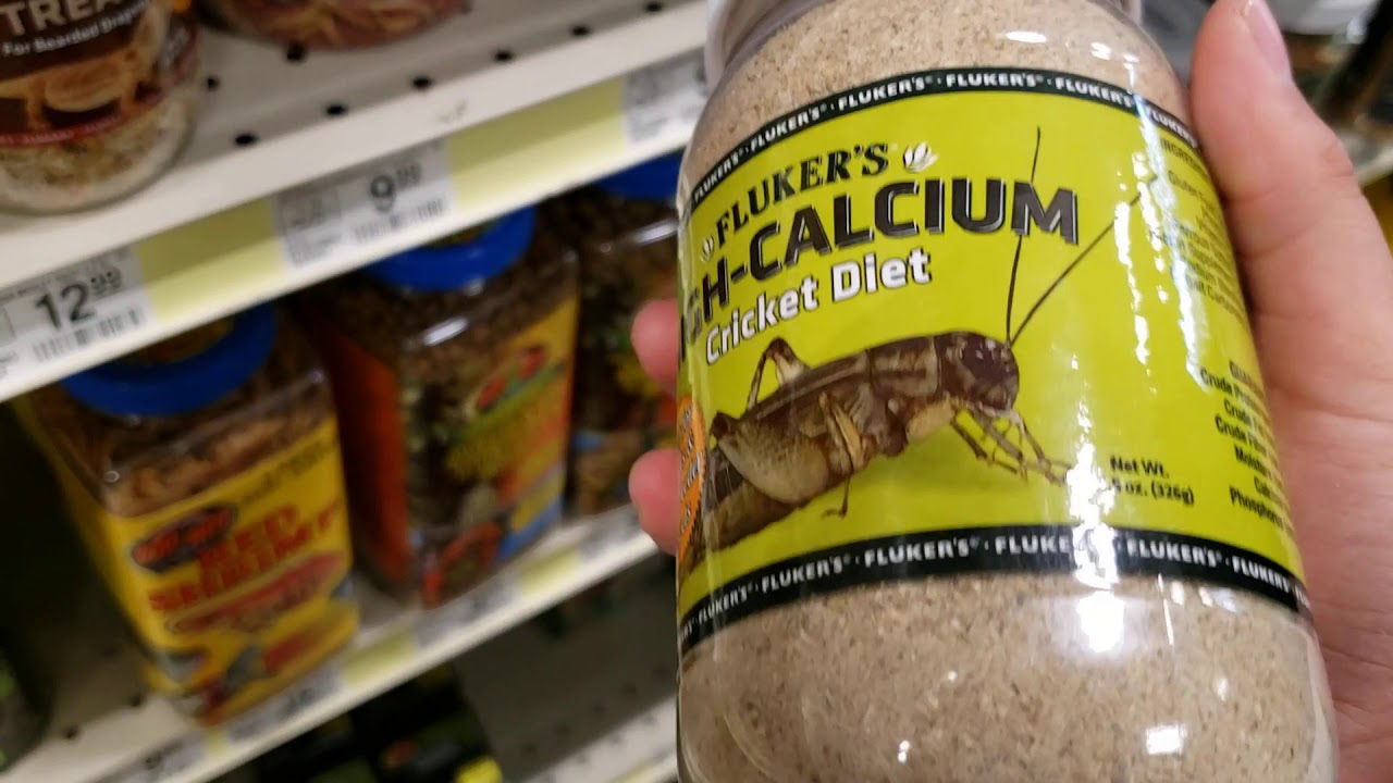 PET SMART PETS NEEDS YouTube