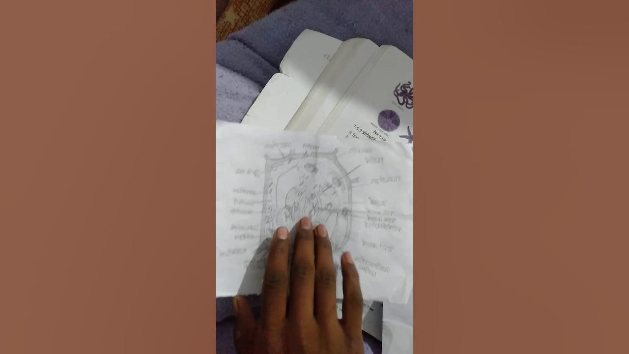 padap koshika ka namankit Chitra YouTube