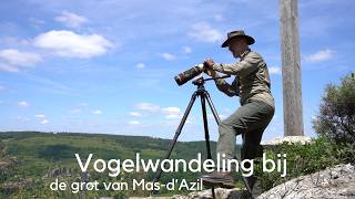 Vogelwandeling bij Maz d Azil met o.a. aasgier, raaf en Provençaalse grasmus #1708