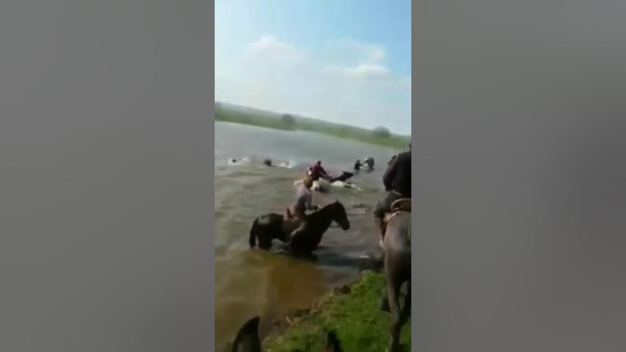 Лошадь с телегой проваливается под лед. Лошади утонули песня. Лошадь провалилась под лед. Лошадь с телегой проваливается под лед. Лошади в воде.