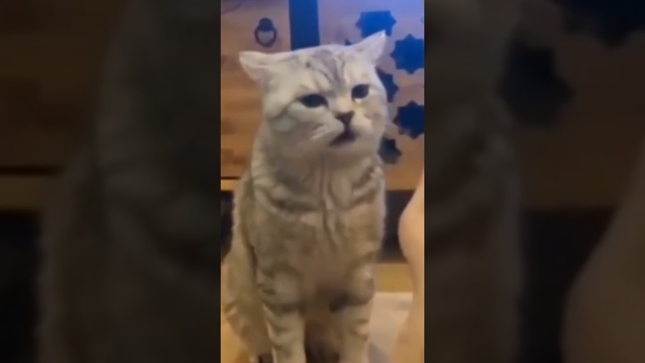 WEE MEME ORIGINAL SONG 