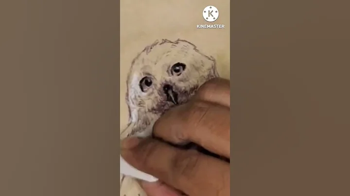 drawing all the magical creatures from harry potter #shorts #art #youtubeshorts #draw #harrypotter