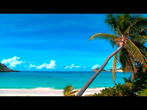Vídeo: Como Relaxar No Mar