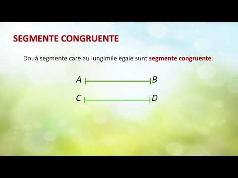 Video: Care sunt 2 segmente congruente?