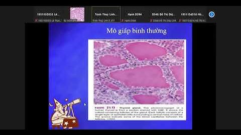 Lý thuyết giải phẫu bệnh - Module nội tiết