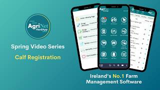 Calf Registration on AgriNet HerdApp