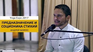 Предназначение и Соционика на Yoga Expo 2017