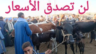 اسعار البقر الوالد والعشر والحلاب بسوق السبت اليوم ٢/ ١٢/ ٢٠٢٣م