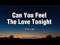 Elton John - CAN YOU FEEL THE LOVE TONIGHT - (video lyrics)