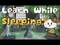 Study 300 Japanese Words while Sleeping. JLPT N5 and N4 Vocabulary
