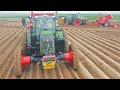 Plantation de pomme de terre   xxl   10 tracteurs  grimme  challlenger  sebagri