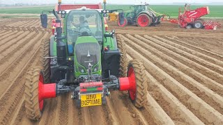 Plantation de pomme de terre 🥔 | XXl  | 10 Tracteurs | Grimme | Challlenger | Seb-Agri