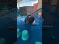 WHERE IS MY FISH