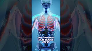 Why You Sometimes Feel Electric Touches – Explained