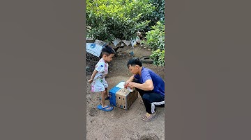 cảm ơn a trai đã ủng hộ trống mái tơ🐓 #thứcgàrừng86 #gàrừngrặc #gàrừngtaitrắng