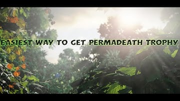 Easiest Way To Get Permadeath Trophy