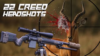 Headshot Harvest Returns Season 3 Impala Cull