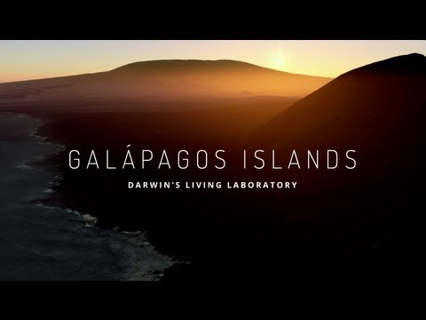 Video: Tour Galapagos Islands med Google Earth