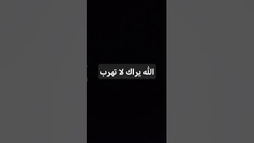 صوت الشيخ ياسر الدوسري سورة المؤمنين