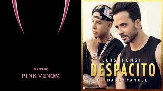 Pink Venom X Despacito Inst - Blackpink X Luis Fonsi & Daddy Yankee Mashup