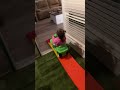 Again daddy!!!!