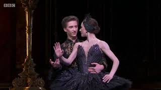Swan Lake - Act 3 / Black Swan Pas de Deux - Marianela Nunez & Vadim Muntagirov Resimi