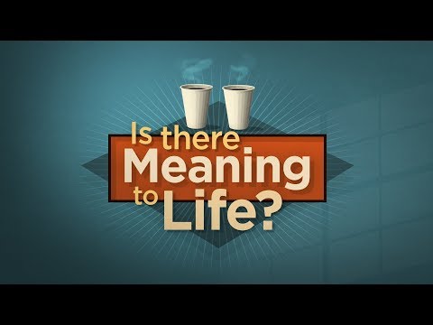 Is There Meaning to Life?