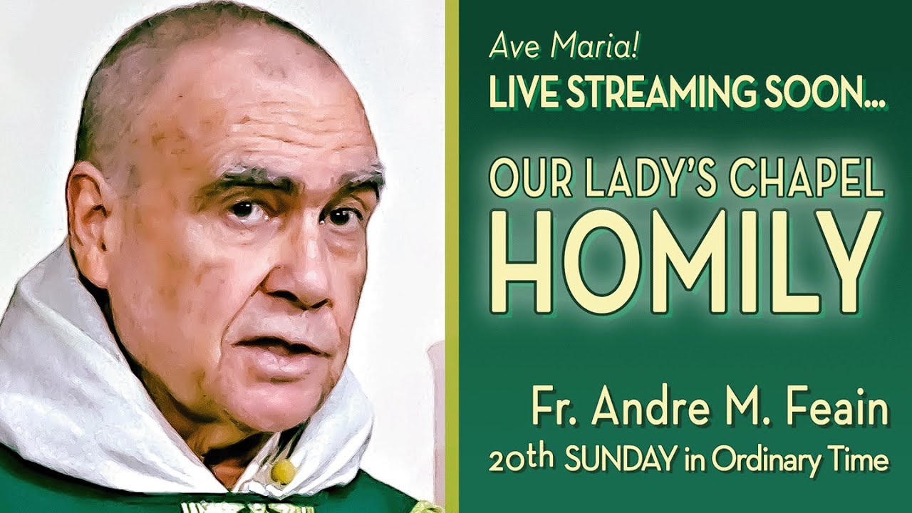 Twentieth Sunday in Ordinary Time - Aug 18 - Homily - Fr Andre - YouTube