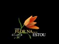 Como uma flor playback com letra  - Célia Held