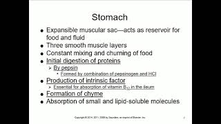Pathophysiology lectures by Dr. Saudi, Chapter 17 Digestive system disorders Latest