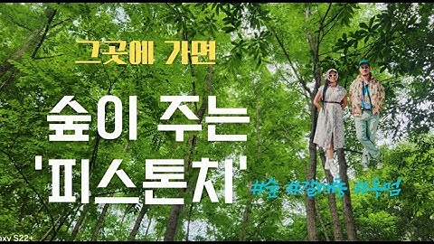 숲이 주는 '피스톤치' & 'Pistonchi' given by the forest #그곳에 가면 #갈매동