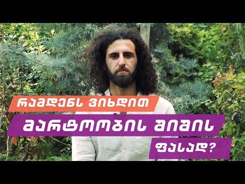 რამდენს ვიხდით მარტოობის შიშის ფასად | შივო რამადატა