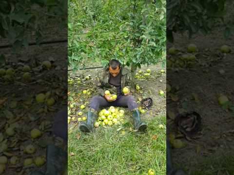 Работа в Славянске-на-Кубани