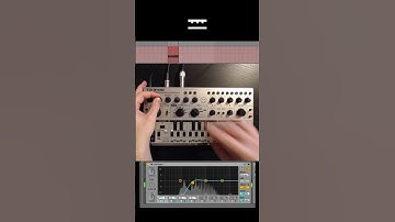 How to program a Behringer TD-3 #acid #techno #303