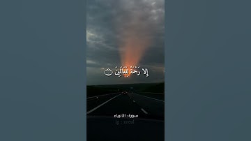 Quran Kareem story 🌸WhatsApp  أجمل قرائه قرآن كريم حالات واتس 🍃 《 سوره الأنبياء  》