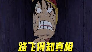 【海贼王】得知罗宾背叛的真正原因，路飞和索隆顿时开挂！我们去把罗宾救出来