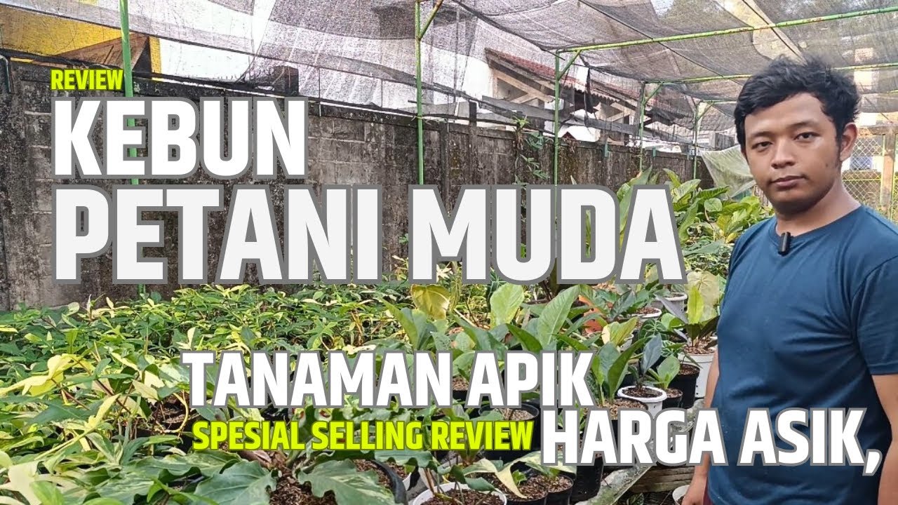 Tanaman Hias Ungaran Kabupaten Semarang