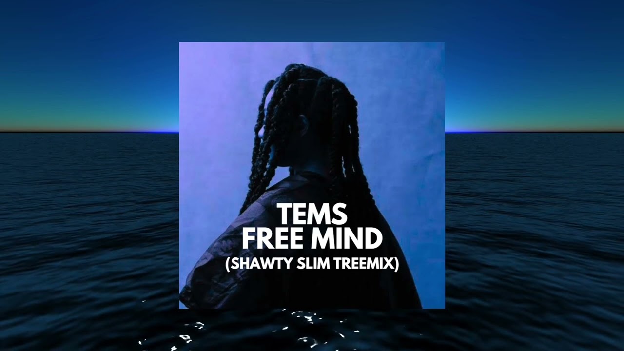 Tems - Free Mind (Shawty Slim TreeMix)