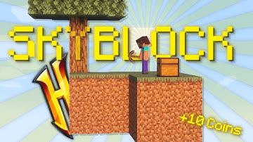 Can I Survive My First Day in Hypixel Skyblock?