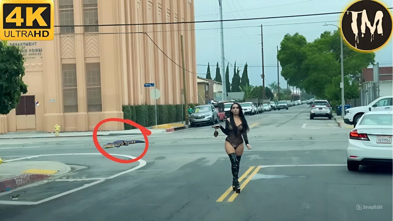 Moments Of Instant Karma Caught On Camera | Best Of The Week #200