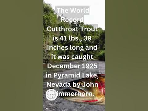 What is the World Record Cutthroat Trout? - YouTube