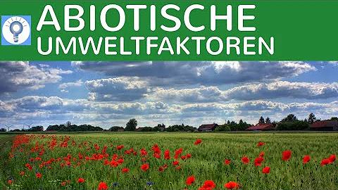 Quali sono i fattori biotici e abiotici?