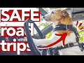 SAFE ROAD TRIPS with your dog » aka MISTAKES I&#39;ve made