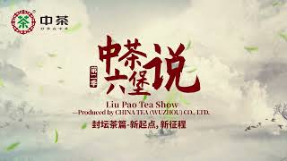 Liu Pao Tea Show Season 2-- Cherish Liu pao Tea stored in Nixing potteries /中茶六堡说第二季---封坛茶