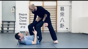 Bagua Zhang - Class Notes #19 / 22. March 2022