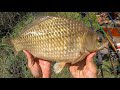 Весенняя ловля карасей на фидер с берега 🎣