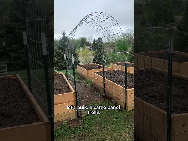 Easy Trellis Garden DIY: Build Yours Now! 3 sddefault