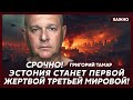 Тамар об оккупации стран Балтии